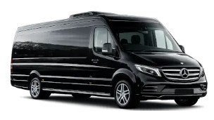 Minibus 20